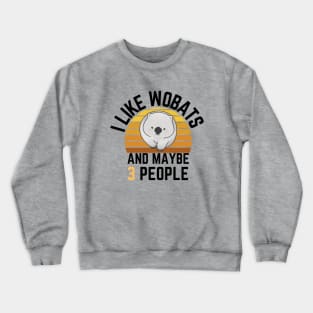 like Wombats and maybe 3 people: Sunset Retro Vintage Crewneck Sweatshirt